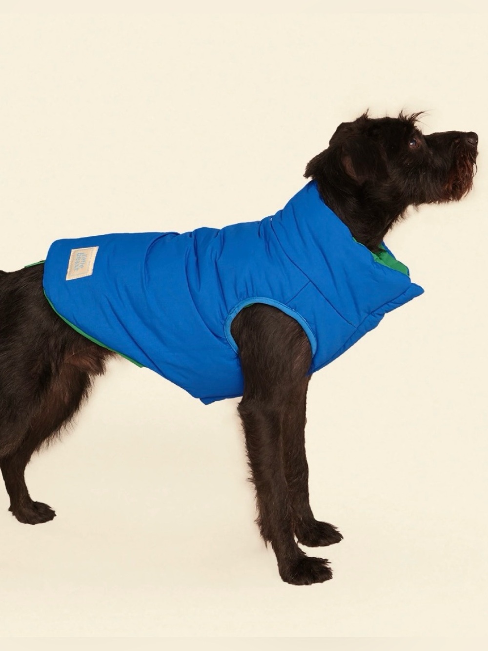 Reversible Blue Puffer Dog Coat by